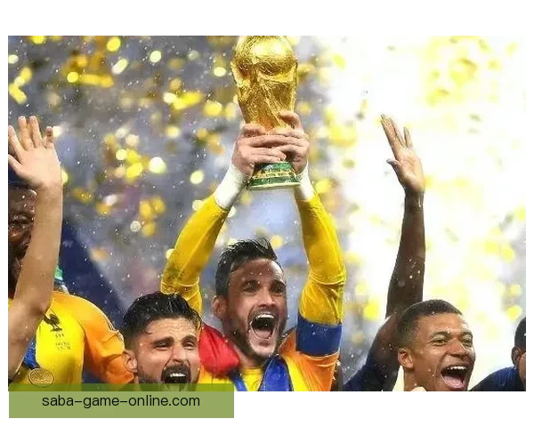 聚焦2026世界杯买球趋势与投注技巧全面解析指南与实战策略详